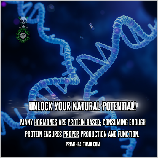 Many hormones are protein based; consuming enough protein ensures proper production and function. PrimeHealthMD.com