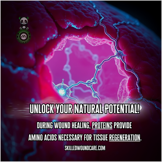 During wound healing, proteins provide amino acids necessary for tissue regeneration. SkilledWoundCare.com