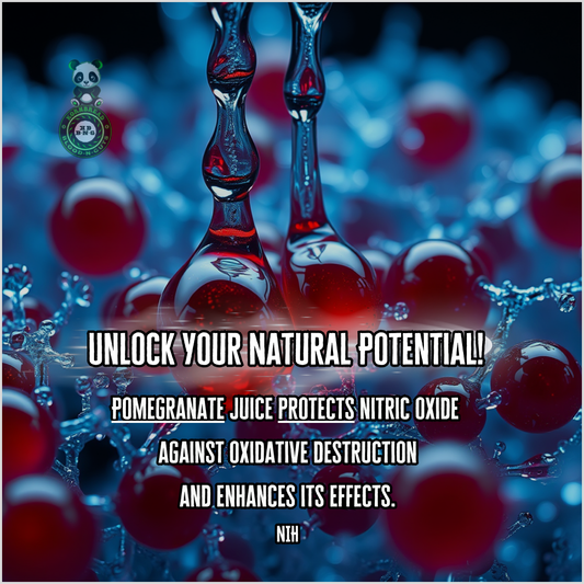 Pomegranate juice protects nitric oxide against oxidative destruction and enhances its effects. NIH