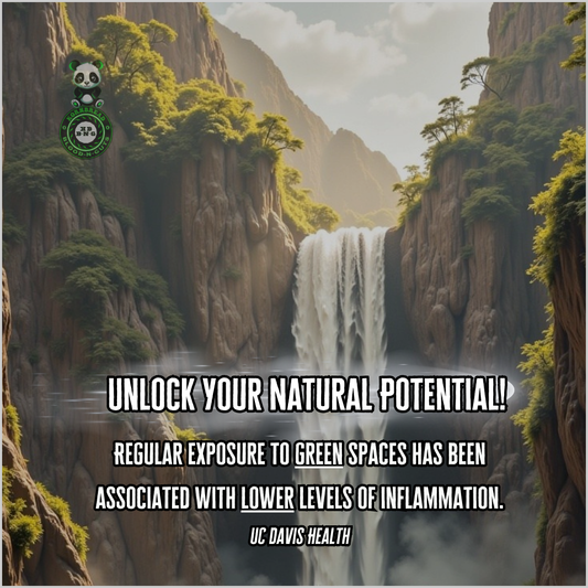 Regular exposure to green spaces has been associated with lower levels of inflammation. UC Davis Health