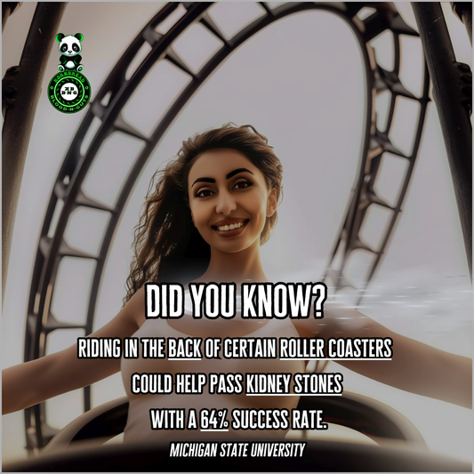 Rollercoasters For Better Health