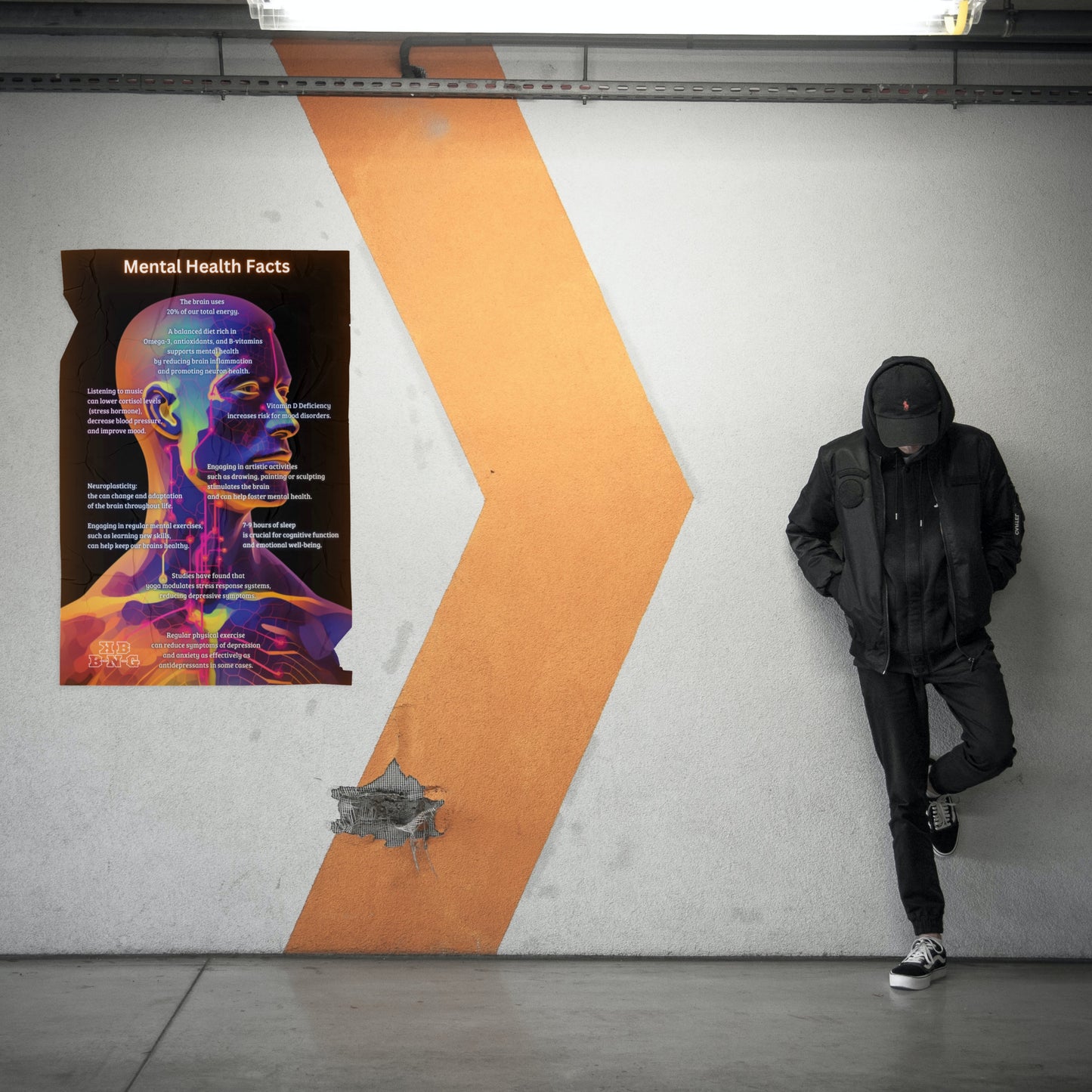 Mental Health Facts Photo Poster