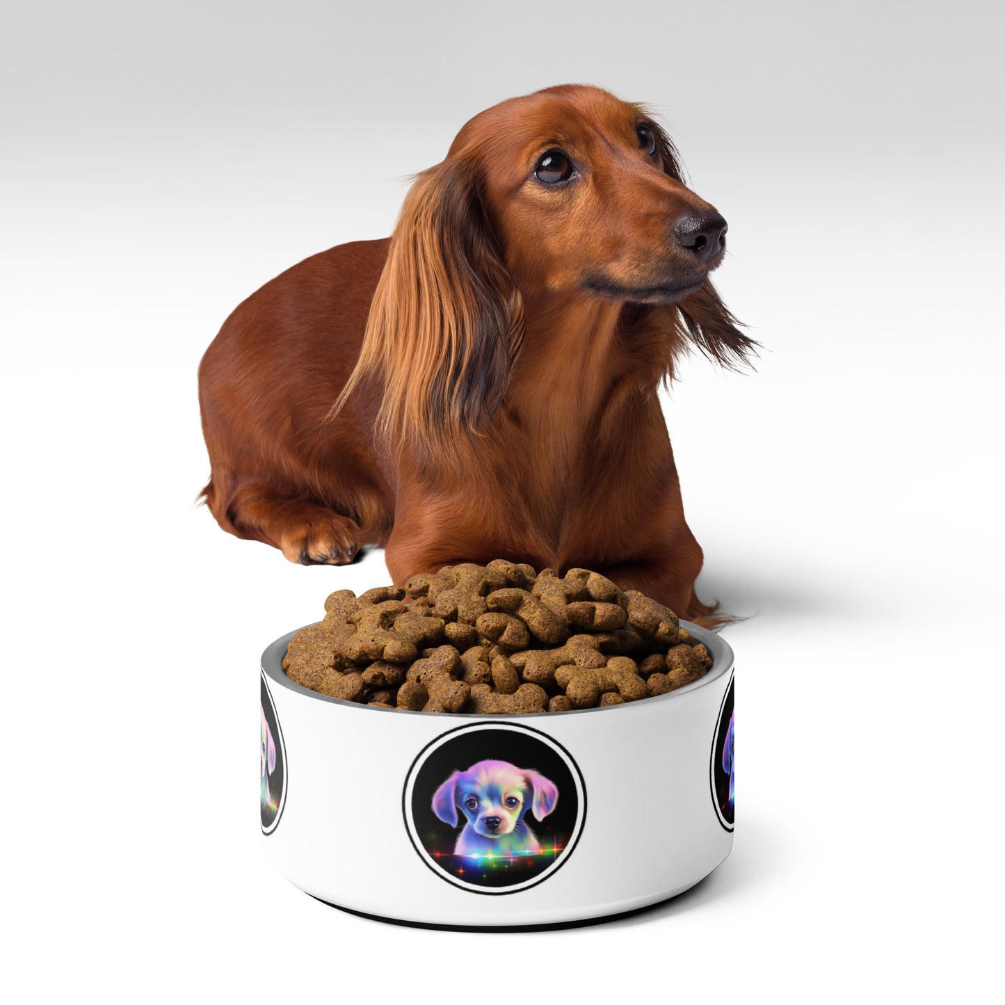 Lucky Puppy Pet Bowl