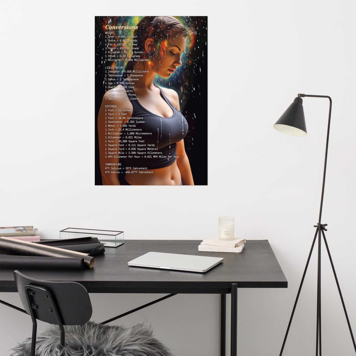 "Conversion Rates" Photo Poster (Left Side) #3