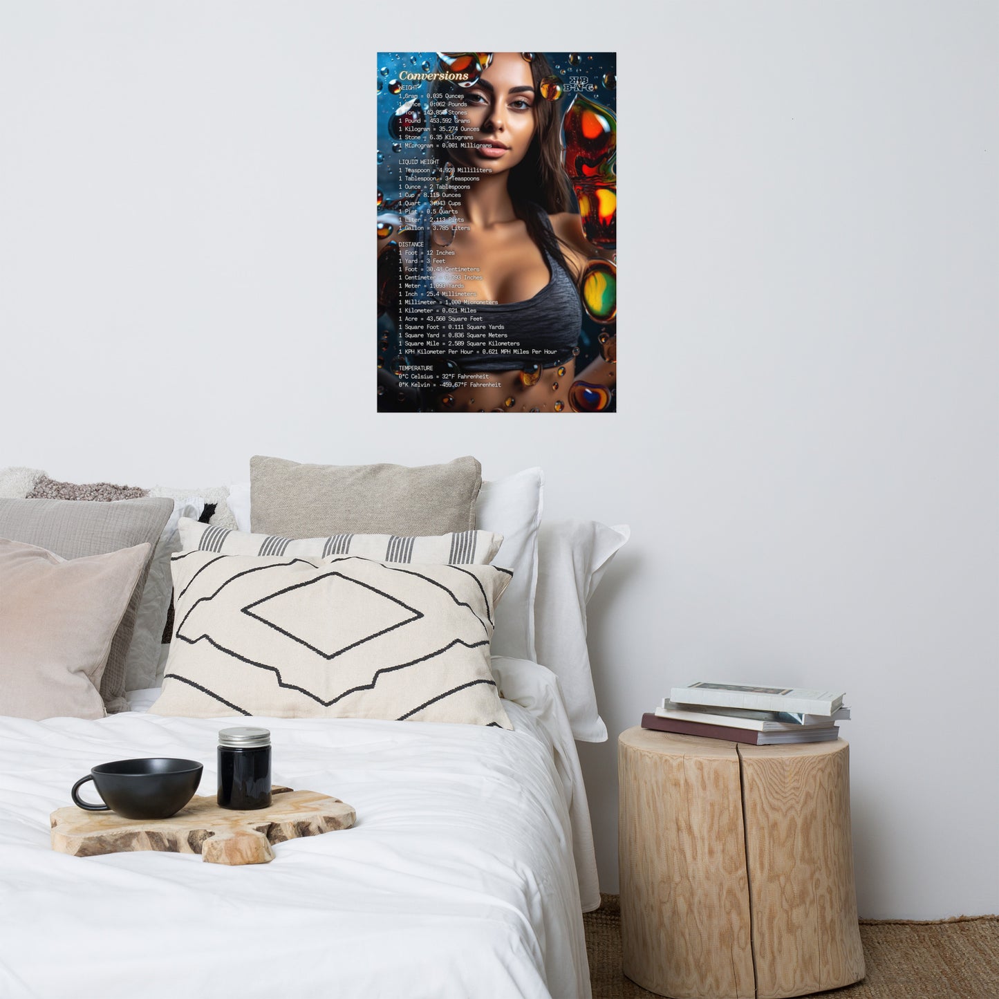"Conversion Rates" Photo Poster (Left Side) #4