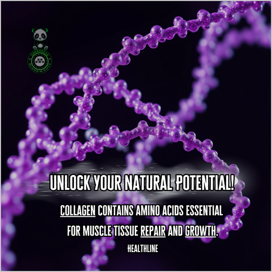 Collagen contains amino acids essential for muscle tissue repair and growth. Healthline