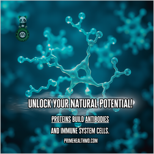 Proteins build antibodies and immune system cells. Primehealthmd.com