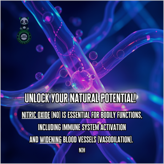 Nitric Oxide (NO) is essential for bodily functions, including immune system activation and widening blood vessels (vasodilation). NIH