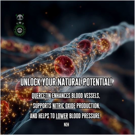 Quercetin enhances blood vessels, supports nitric oxide production, and helps to lower blood pressure. NIH