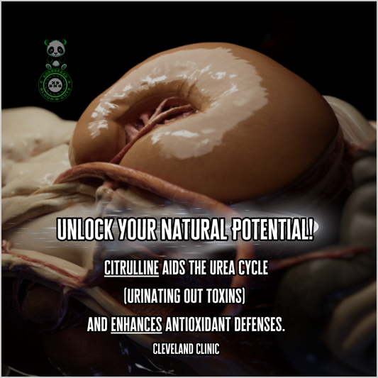 Citrulline aids the urea cycle (urinating out toxins) and enhances antioxidant defenses. Cleveland Clinic