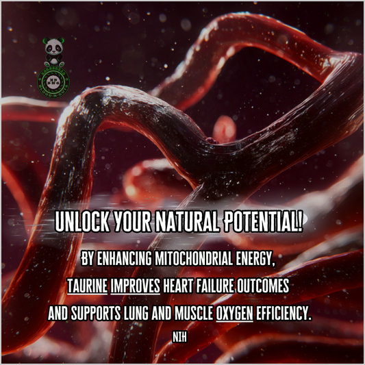 By enhancing mitochondrial energy, taurine improves heart failure outcomes and supports lung & muscle oxygen efficiency. NIH