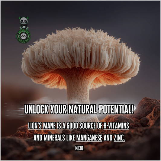 Lion's Mane is a good source of B-Vitamins and minerals like manganese and zinc. NCBI