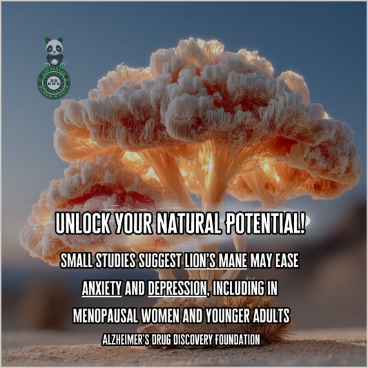Small studies suggest Lion's Mane may ease anxiety and depression, including in menopausal women and younger adults. Alzheimer's Drug Discovery Foundation