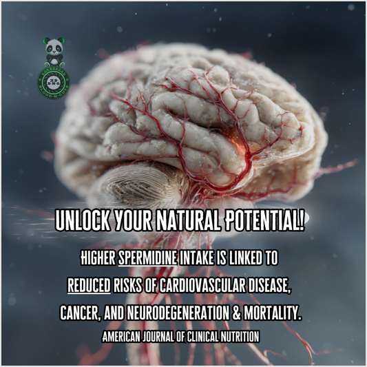 Higher spermidine intake is linked to reduced risks of cardiovascular disease, cancer, and neurodegeneration & mortality. American Journal Of Clinical Nutrition