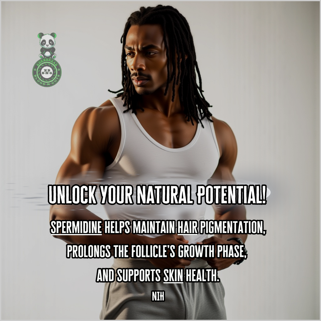 Spermidine helps maintain hair pigmentation, prolongs the follicle's growth phase, and supports skin health. NIH