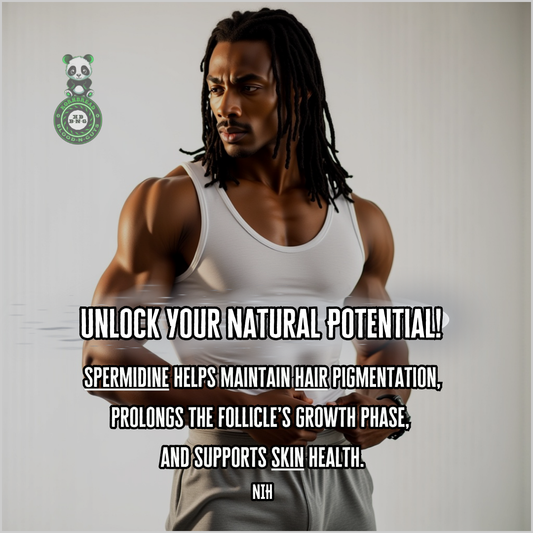 Spermidine helps maintain hair pigmentation, prolongs the follicle's growth phase, and supports skin health. NIH