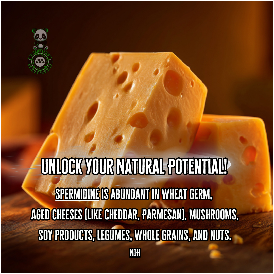 Spermidine is abundant in wheat germ, aged cheeses (like cheddar, parmesan), mushrooms, soy products, legumes, whole grains, and nuts. NIH