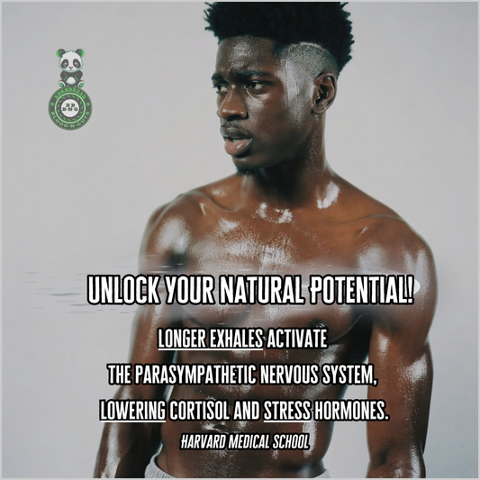 Longer exhales activate the parasympathetic nervous system, lowering cortisol and stress hormones. Harvard Medical School