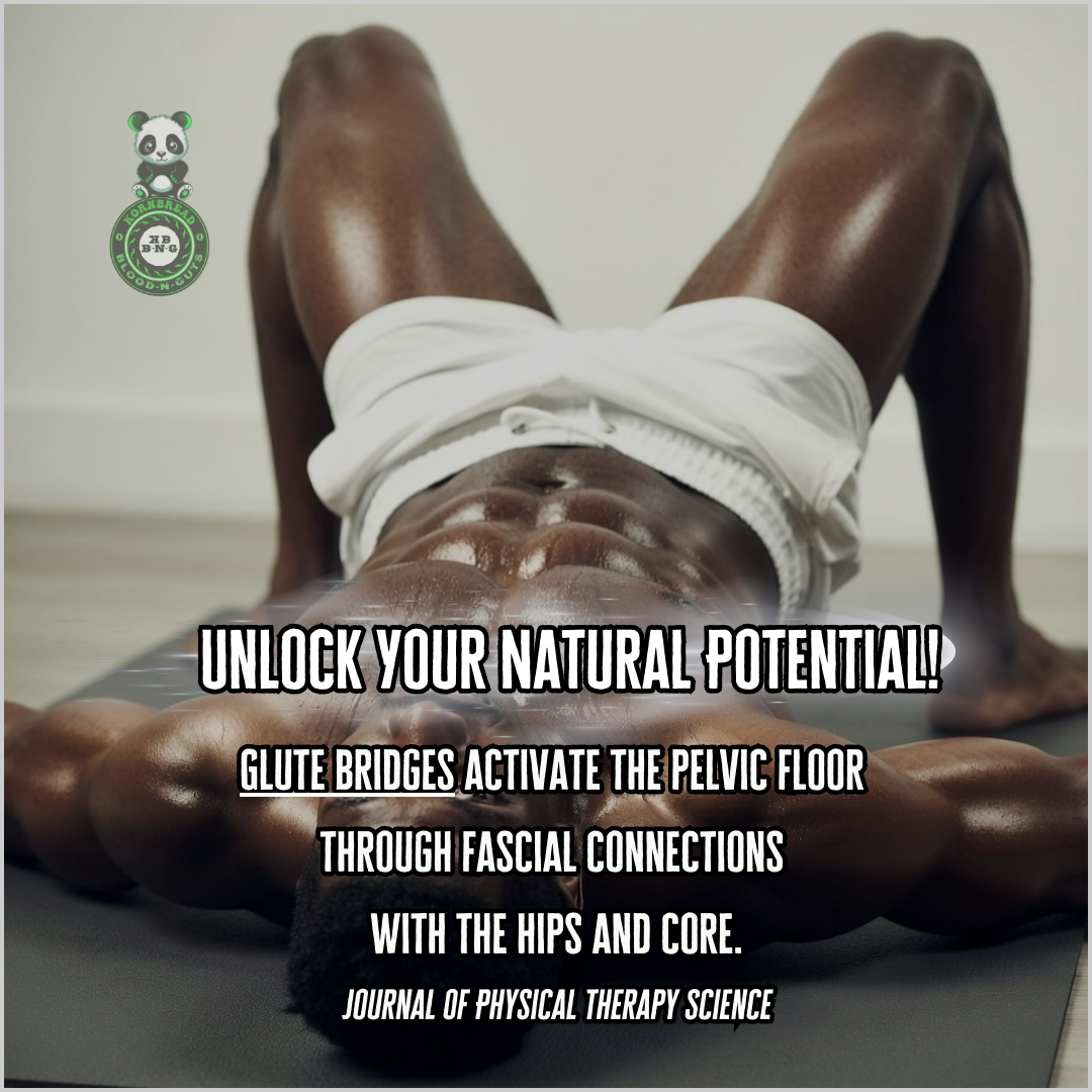 Glute bridges activate the pelvic floor through fascial connections with the hips and core. Journal Of Physical Therapy Science