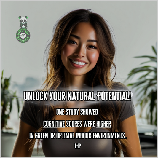 One study showed cognitive scores were higher in green or optimal indoor environments. EHP