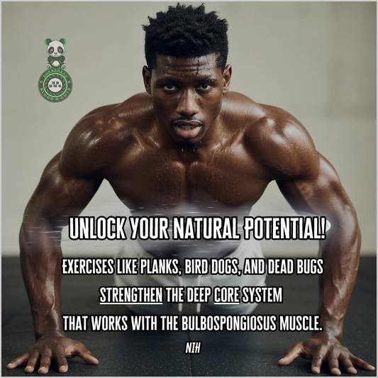 Exercises like planks, "bird dogs", and "dead bugs" strengthen the deep core system that works with the Bulbospongiosus muscle. NIH