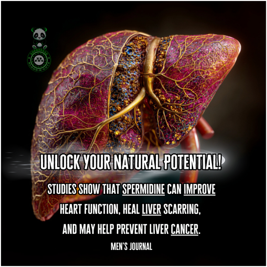 Studies show that spermidine can improve heart function, heal liver scarring, and may help prevent liver cancer. Men's Journal