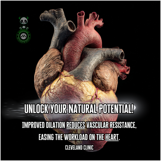 Improved dilation reduces vascular resistance, easing the workload on the heart. Cleveland Clinic