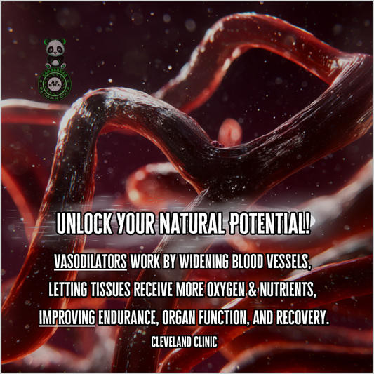 Vasodilators work by widening blood vessels, letting tissues receive more oxygen & nutrients, improving endurance, organ function, and recovery. Cleveland Clinic