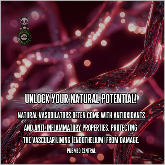 Natural vasodilators often come with antioxidants and anti-inflammatory properties, protecting the vascular lining (endothelium) from damage. PubMed Central