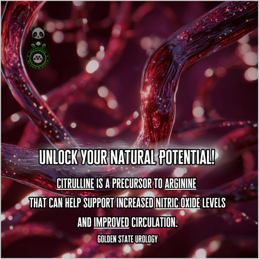 Citrulline is a precursor to arginine that can help support increased nitric oxide levels and improved circulation. Golden State Urology