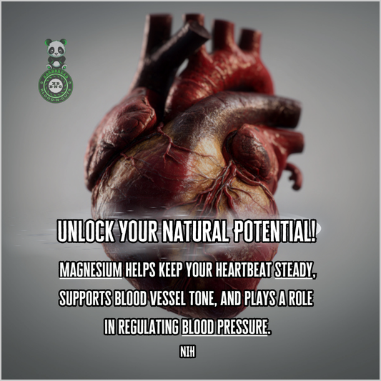Magnesium helps keep your heartbeat steady, supports blood vessel tone, and plays a role in regulating blood pressure. NIH