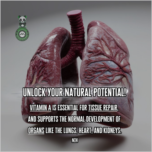 Vitamin A is essential for tissue repair, and supports the normal development of organs like the lungs, heart, and kidneys. NIH