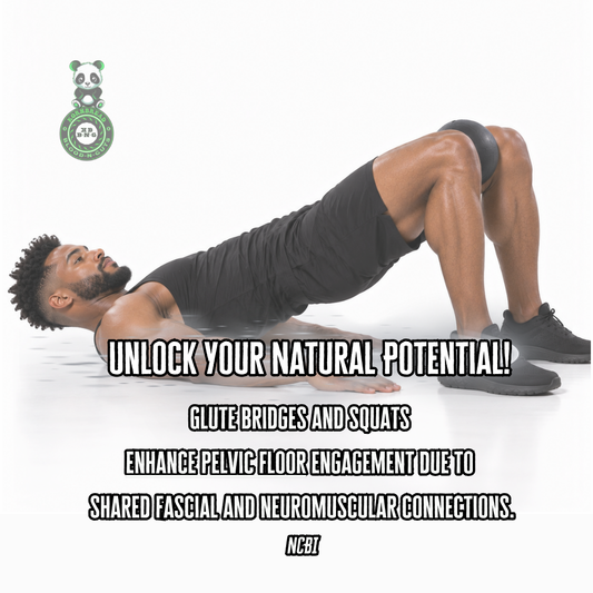 Glute bridges and squats enhance pelvic floor engagement due to shared fascial and neuromuscular connections. NCBI