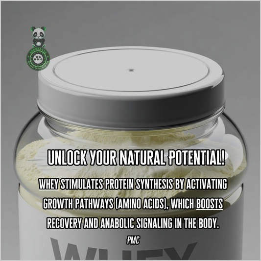 Whey stimulates protein synthesis by activating growth pathways (amino acids), which boosts recovery and anabolic signaling in the body. PMC