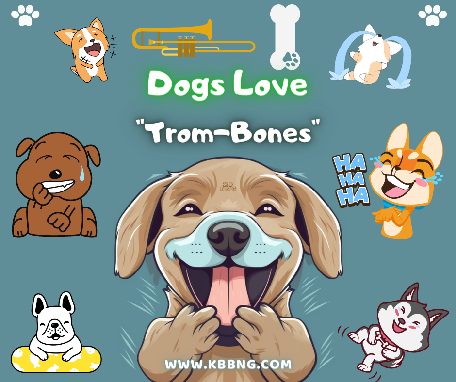 What Is A Dog's Favorite Musical Instrument? – KBBNG