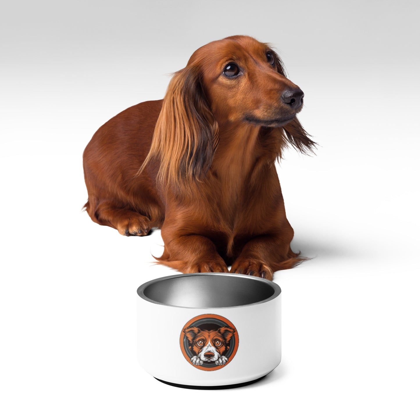 "Scared Dog" Pet Bowl