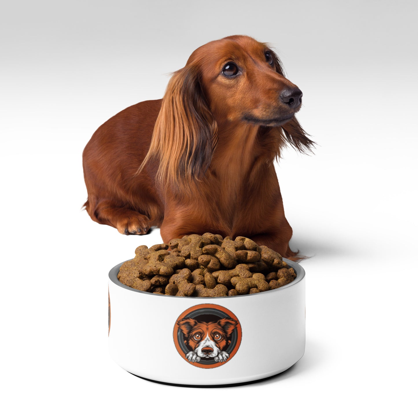 "Scared Dog" Pet Bowl