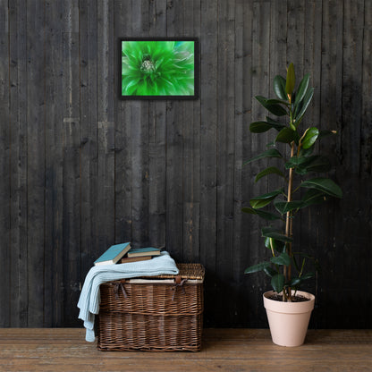 D.A.H.L.I.A Framed Canvas