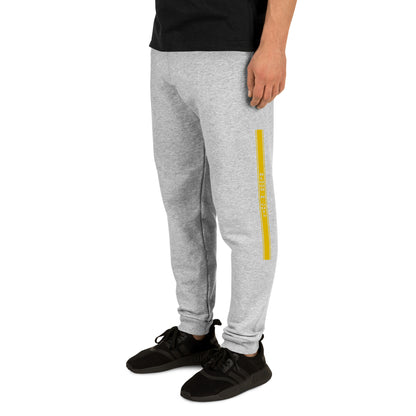 KBBNG Orange Stripe Joggers